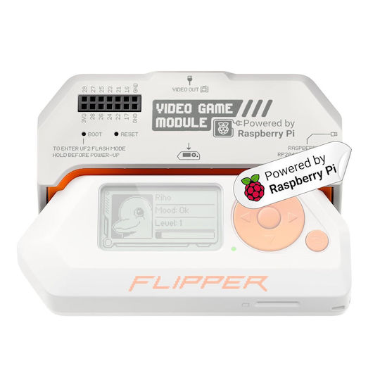 Flipper Placă