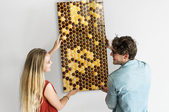 Placă Magnetică Fagure Un Magnet 60x120