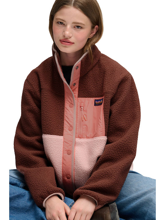 Superdry Superdry