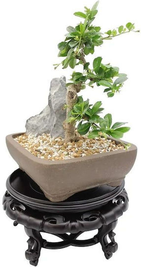 Blumentopfständer Braun 19cmx19cmcm.
