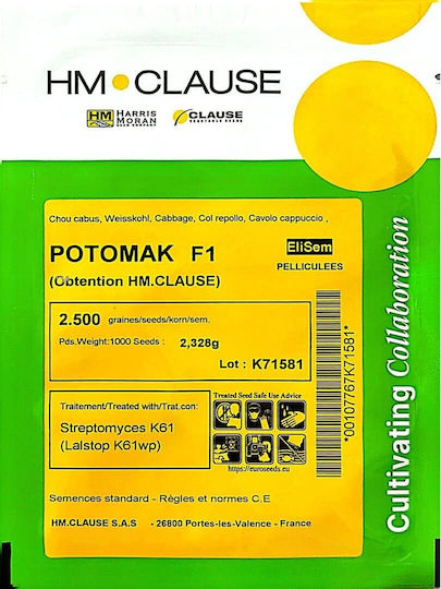 Saatgut Hybrid Kohl Λάχανο Potomak F1 2500 Samen
