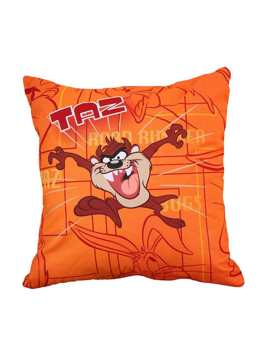 Decorative Pillow 40x40 Taz 10