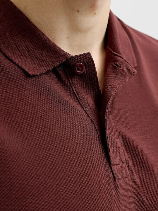 Polo Short Sleeve Blouse Bitter-chocolate