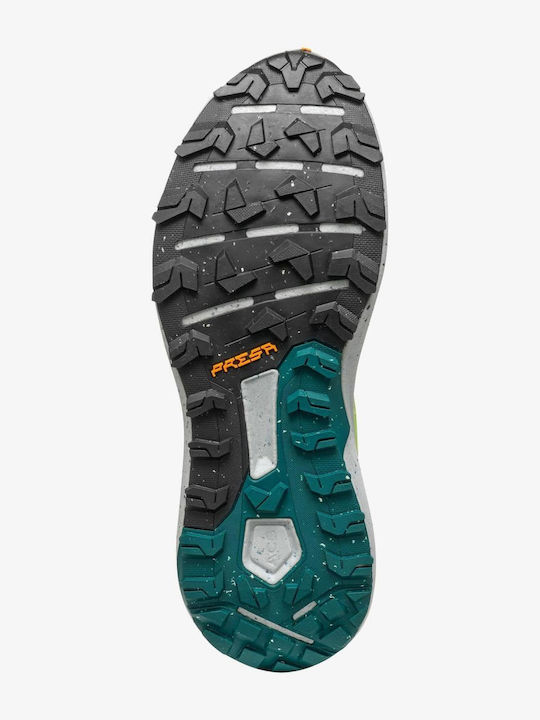 Scarpa