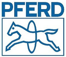 PFERD Tools Σετ Λίμες με Λαβή 2τμχ