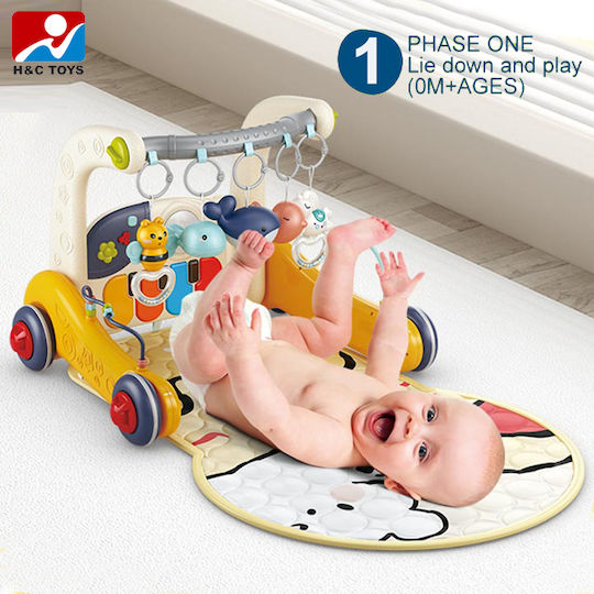 Activity Gym for Newborns