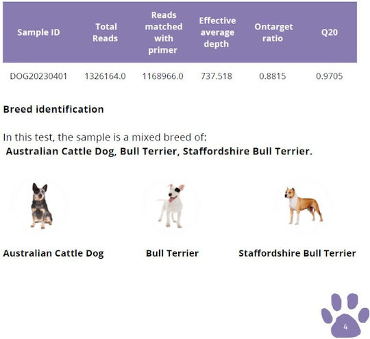 Total Dna – Pet Edition Cea Mai Detaliată Analiză Genetică Pentru Câinele Sau Pisica Dumneavoastră Origine Sănătate & Comportament