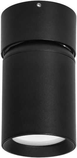 Orno Single Spot with Socket GU10 in Black Color