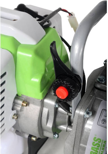 Bass Polska Pompa de apă de suprafață electrică 1.7hp