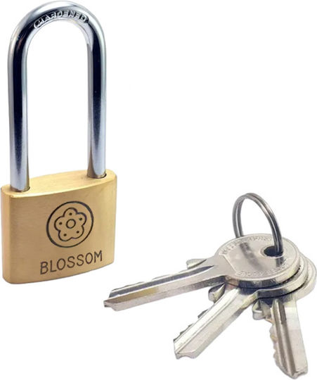 Blossom Bc90 Bronze Padlock Lengthened with Key 25mm 1pcs