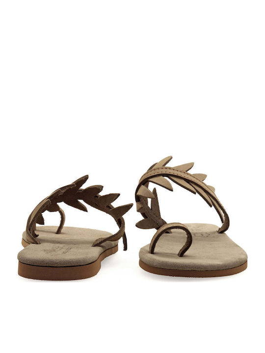 Sandals Slippers Soft Sole Olive Leaves Arsinóe Sand