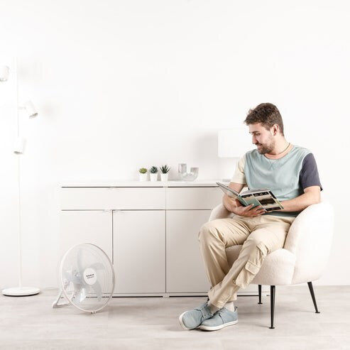 Freestanding Fan Taurus