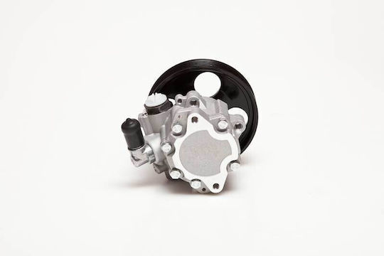 Lancia Phedra Servopumpe für den Motor 2.0 2.2 Hdi 4007aw 4007aw