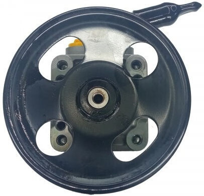 Nissan Erste P12 X-Trail Servolenkungspumpe 491108H305