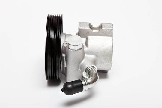 Power Steering System Pump Peugeot 306 1.9 D 4007w2 4007w2