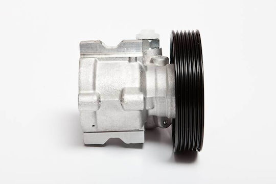Power Steering System Pump Peugeot 306 1.9 D 4007w2 4007w2