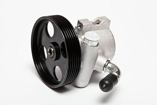 Power Steering System Pump Peugeot 306 1.9 D 4007w2 4007w2