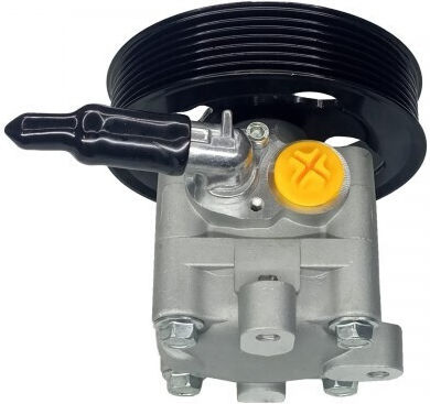 Servolenkungspumpe Nissan Murano II 3.5 Maxima VII 3.5 491101AA0A