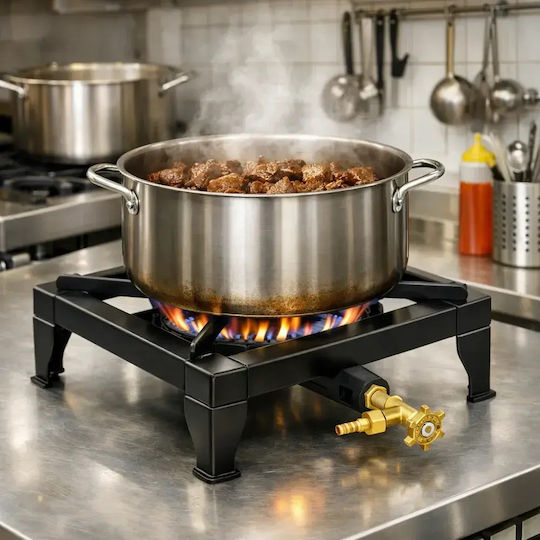 Thermogatz GX10 Liquid Gas Countertop Single Burner Black