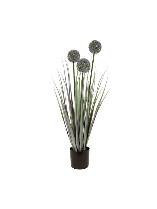 Grass Plant Allium Potted Plastic 80cm