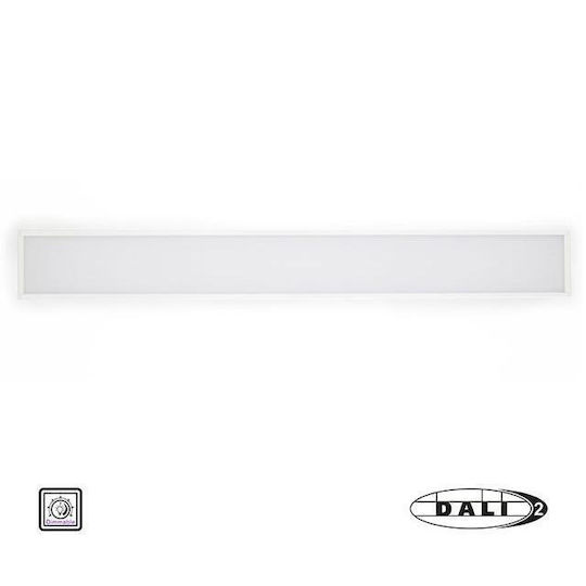 Adeleq LED Linear Wall Light 18W Natural White with Adjustable Intensity L60xH5.6cm