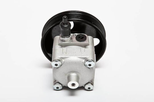 Servolenkungspumpe Für Volvo S60 V70 II XC70 S80 II 2.4 D5 8603105