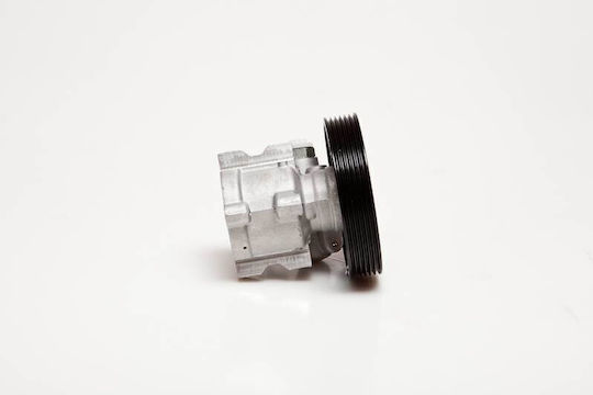 Power Steering Pump Xsara Peugeot 306 2.0 Hdi 4007x0