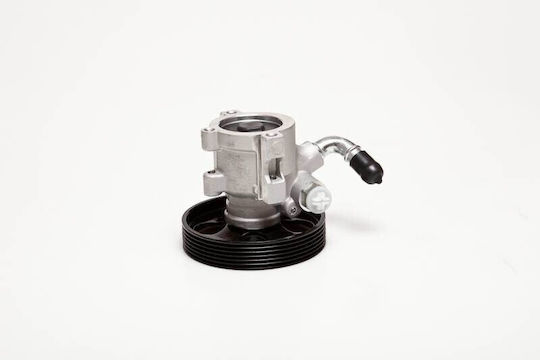Power Steering Pump Xsara Peugeot 306 2.0 Hdi 4007x0