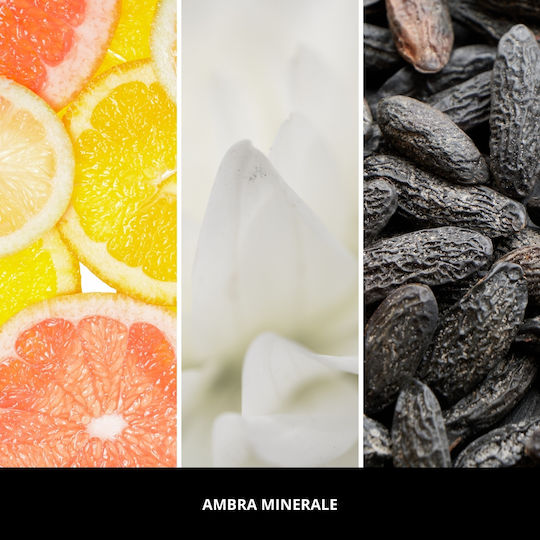 Millefiori Ambra Minerale Bețe 250ml