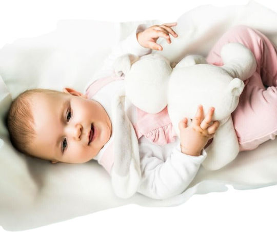Babyono Σελτεδάκια μιας Χρήσης 60x90εκ. 10τμχ
