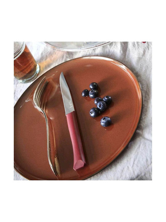 Opinel 125 Bon Appetit+ General Use Knife from Tool Steel 11cm