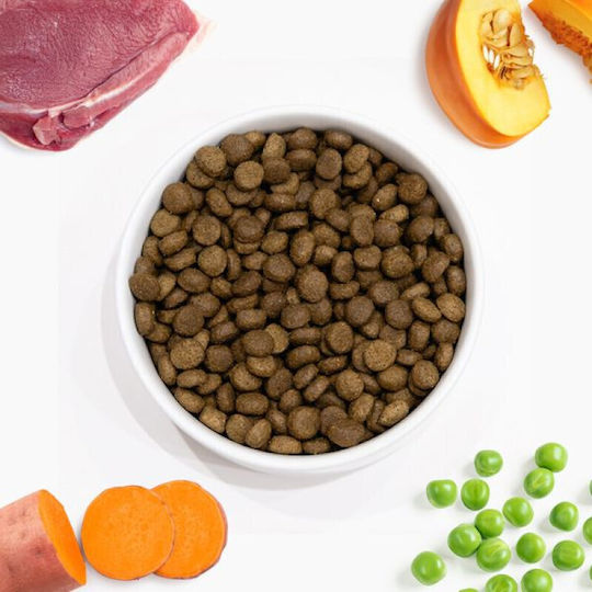 Arden Grange 12kg Trockenfutter für Erwachsene Hunde ohne Körner mit Ente