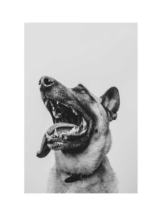 Painting Happy Dog In Black White Happy Dog In Black White 100x150