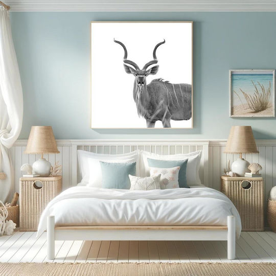 Majestic Kudu In Black And White Majestic Kudu Σε Ασπρόμαυρο 1