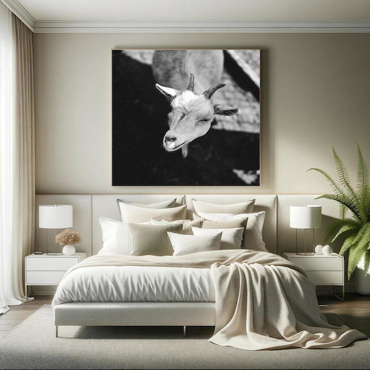 Black And White Goat Aspromauri Katsika 1 on Canvas