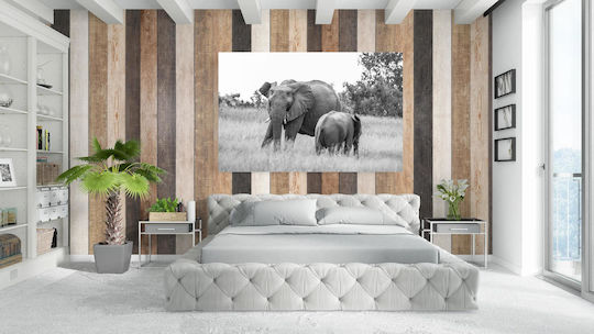 Elephants In Black And White Ελέφαντες Σε Ασπρόμαυρο 1
