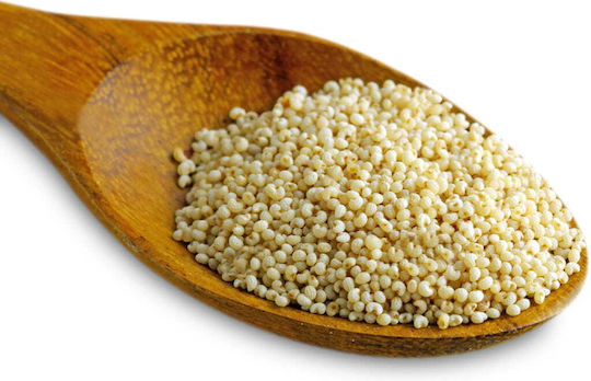 MIGOgroup Mohnblumen Saatgut Weiß 1kg