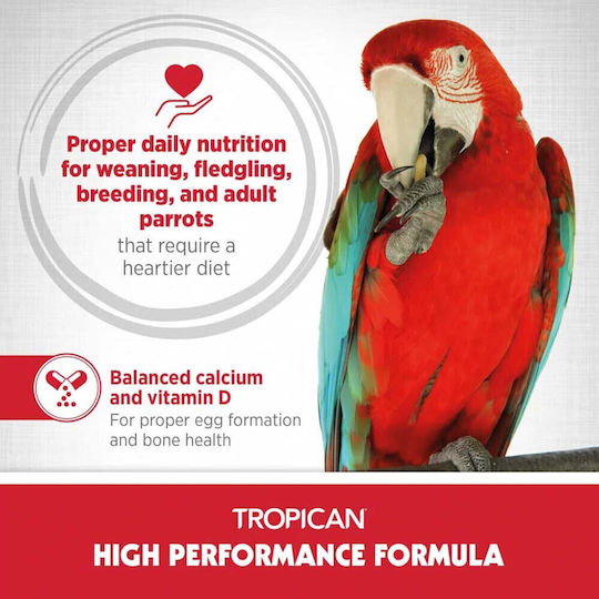 Hagen Stick Food for Medium Parrots 1.5kg