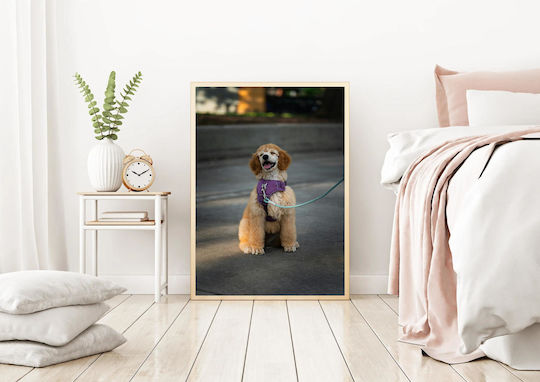 Happy Poodle In Purple Harness Happy Poodle Με Μωβ Λουρί