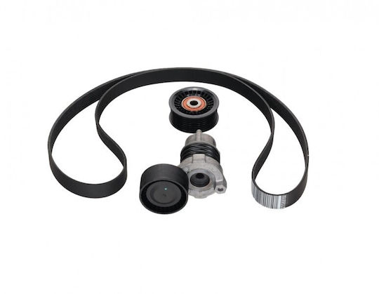 Τεντωτήρας Ιμάντα Micro-v Renault Kangoo Ii 08 117203336r