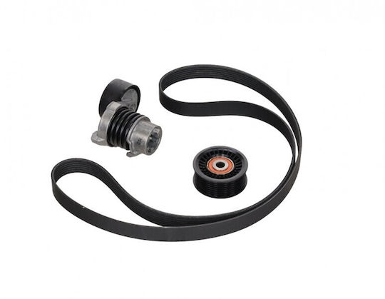 Τεντωτήρας Ιμάντα Micro-v Renault Kangoo Ii 08 117203336r