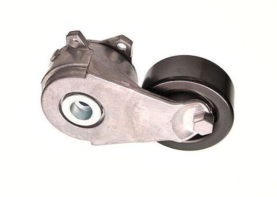 Întinzător Curea Poli-V Nissan Juke 1.6 Dig-t 0290-f15