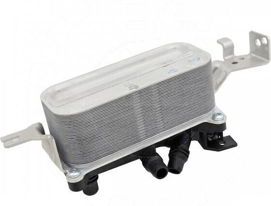 Oil Cooler Bmw 5 6 17217601951