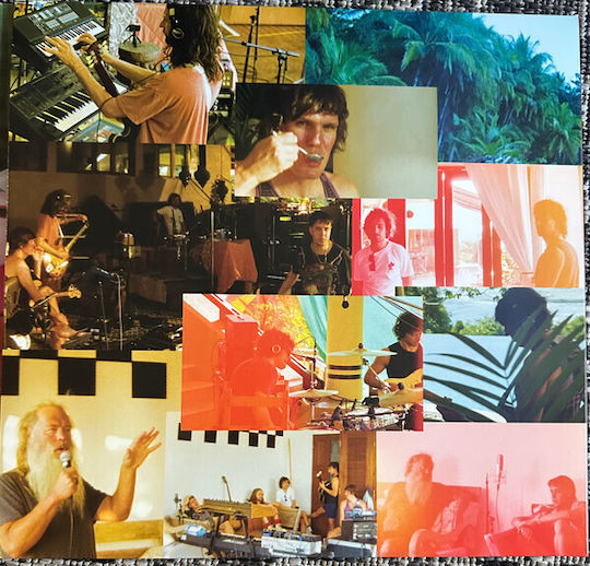 Strokes Reality Awaits Vinyl