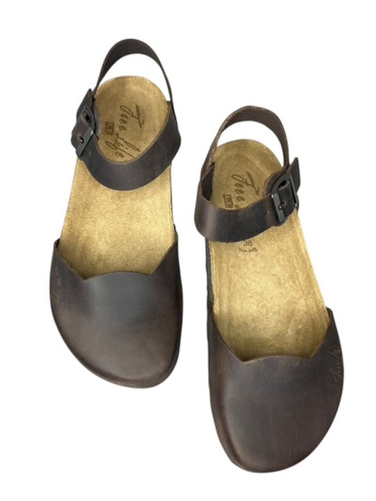 Leather Women's Anatomic Brown Sandals GY-08441-2-6
