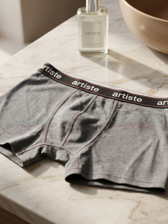 Men's Boxer Grey