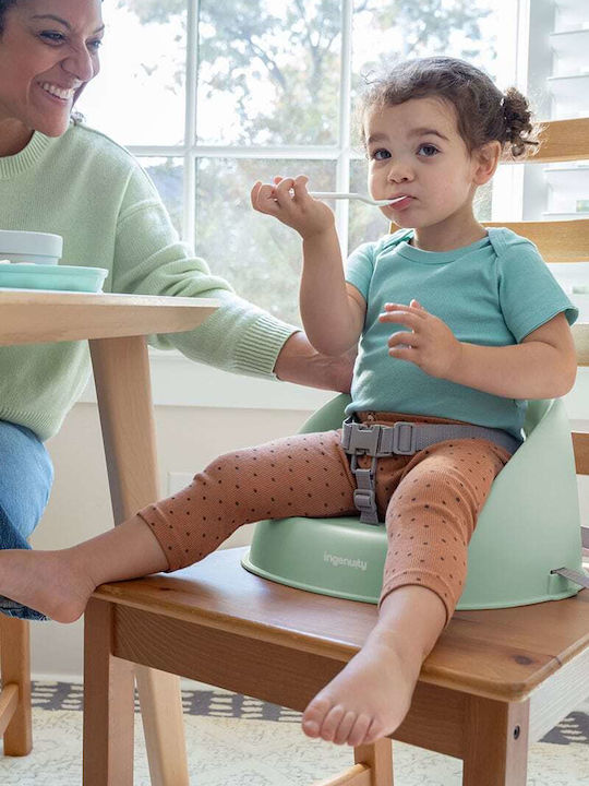 Ingenuity Portable Booster Seat for Table Plastic for Chair