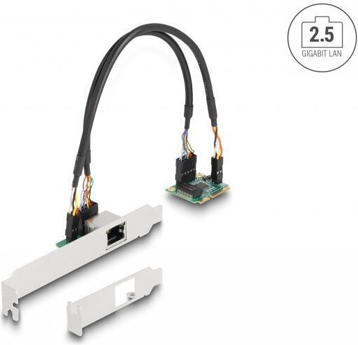 DeLock Mini PCIe Card