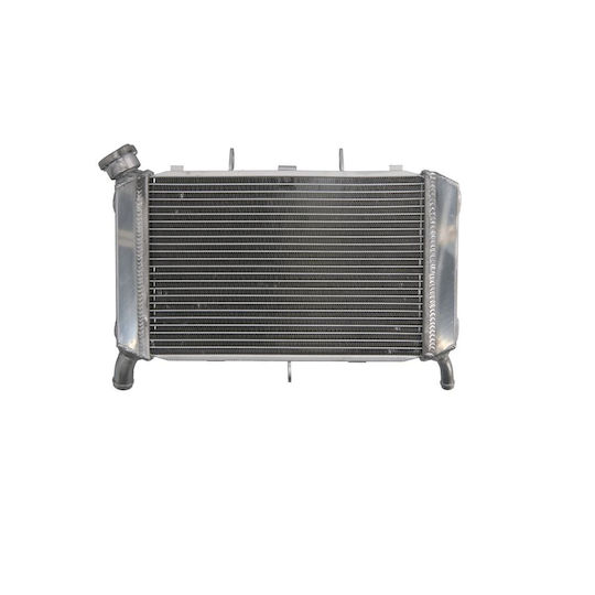 Motorcycle Engine Radiator Yamaha FZ6 Fazer