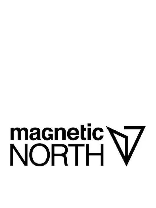 Magnetic North
